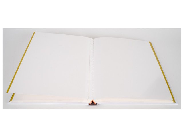 Svatební fotoalbum samolepicí 40 stran, šitá vazba SRDCE