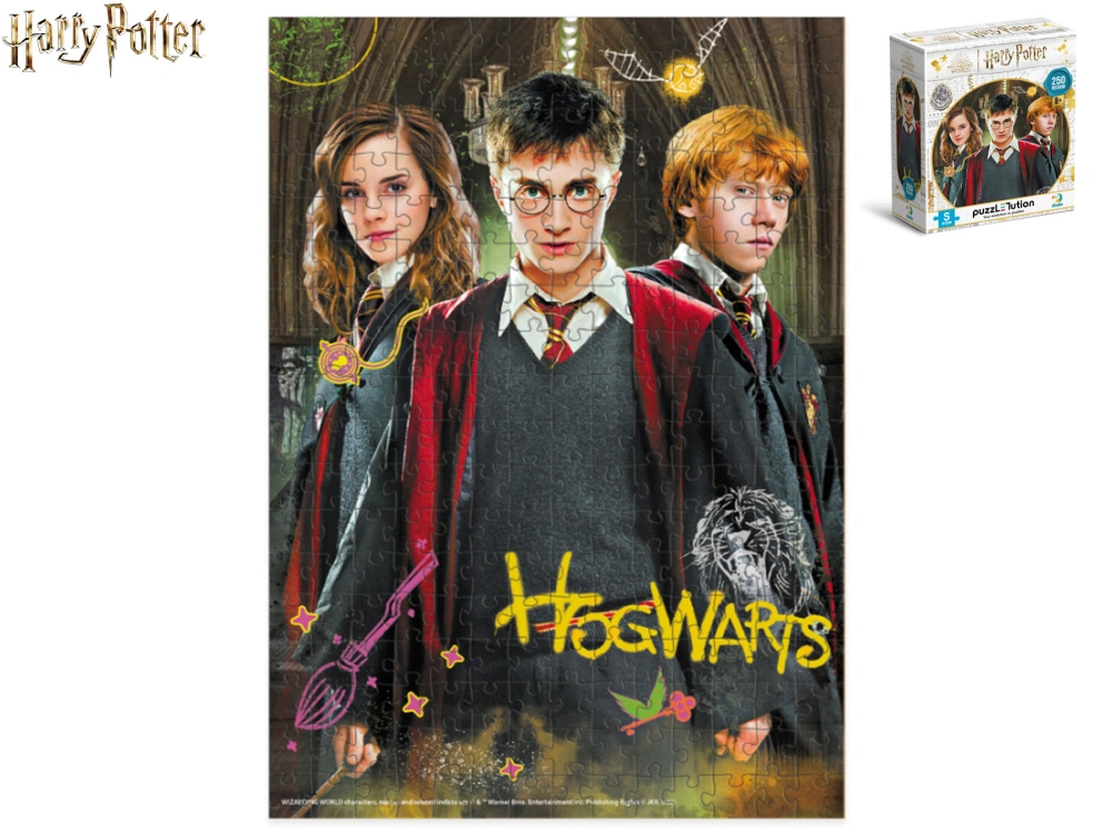 Harry Potter puzzle Harry a přátelé, 250 dílků