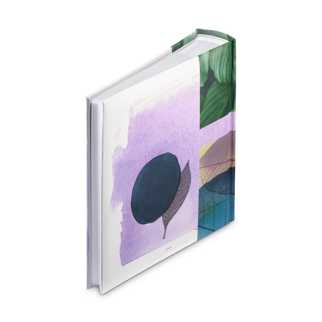 Fotoalbum 10×15/200 NATURE – zasunovací album s přírodním designem