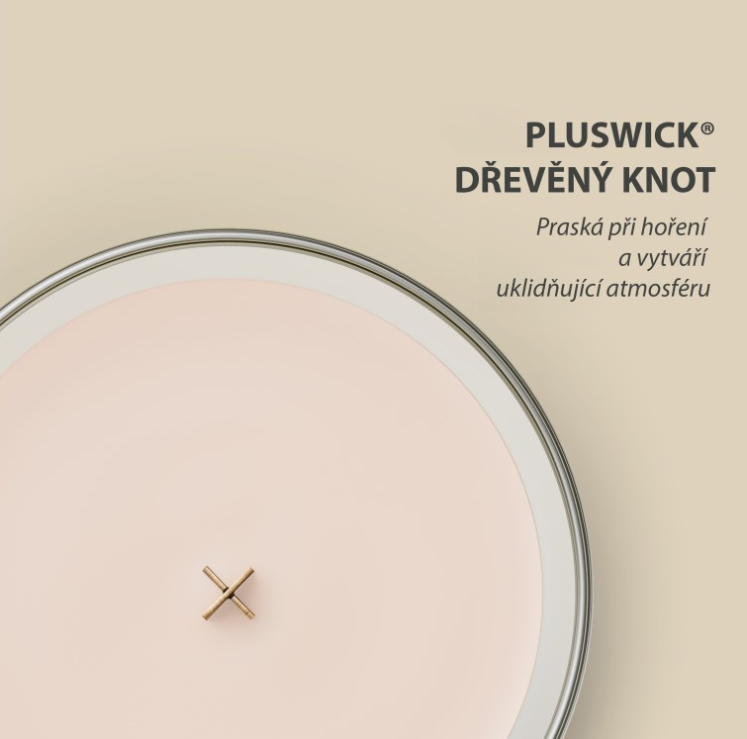 WoodWick Vanilla & Sea Salt váza malá 85 g – Vanilka a mořská sůl