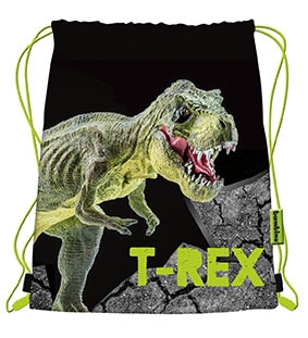 Sportovní vak - sáček na přezůvky Bambino T-REX
