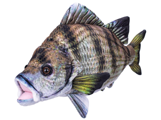 Plyšový kapr 45 cm